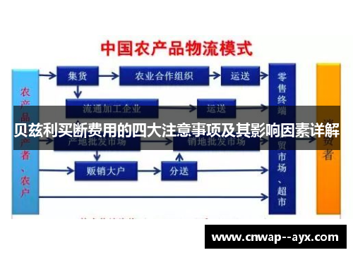 贝兹利买断费用的四大注意事项及其影响因素详解