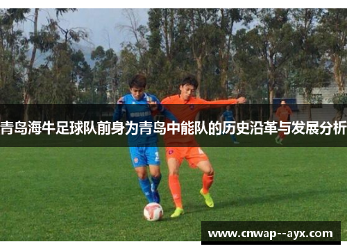 青岛海牛足球队前身为青岛中能队的历史沿革与发展分析