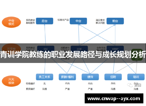 青训学院教练的职业发展路径与成长规划分析