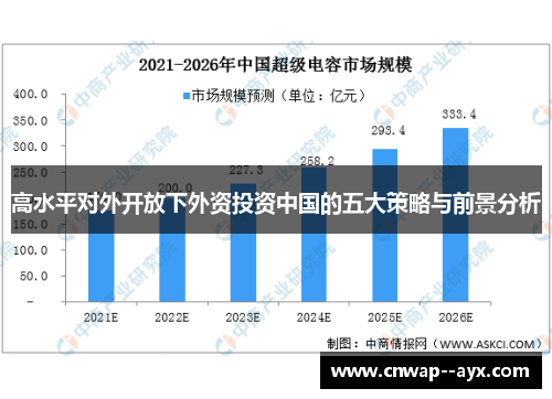 高水平对外开放下外资投资中国的五大策略与前景分析 高水平对外开放下外资投资中国的五大策略与前景分析