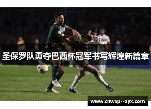 圣保罗队勇夺巴西杯冠军书写辉煌新篇章