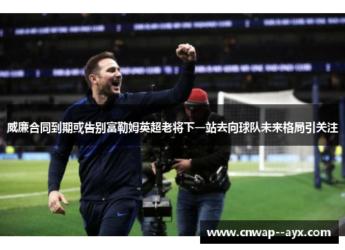 威廉合同到期或告别富勒姆英超老将下一站去向球队未来格局引关注