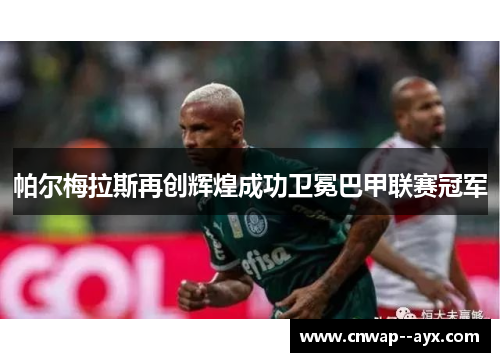 帕尔梅拉斯再创辉煌成功卫冕巴甲联赛冠军