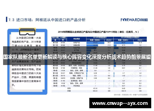 国家队最新名单更新解读与核心阵容变化深度分析战术趋势前景展望
